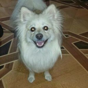 Meet your Posher, Marie